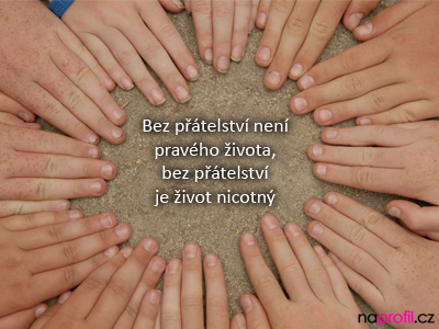 naprofil_00047