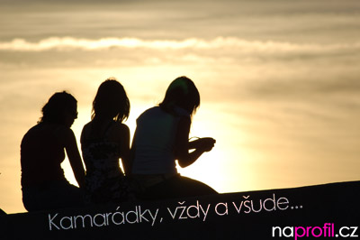 naprofil_00125